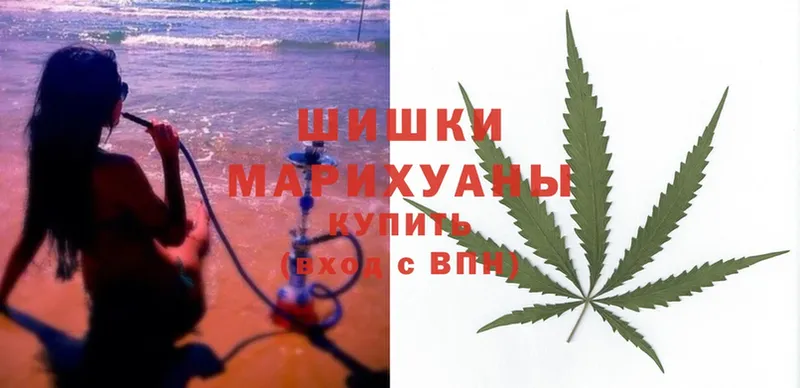 Шишки марихуана OG Kush  Галич 